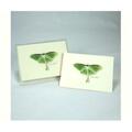 Steven M. Lewers Earth Sky Water Luna Moth - 8.3.5 x 5 in. LEWERSNC120